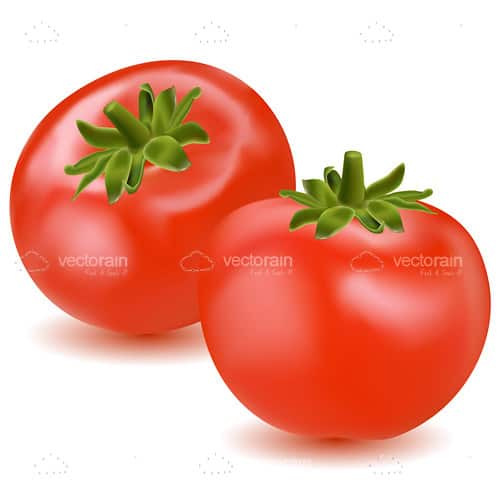 Glossy Red Tomatoes